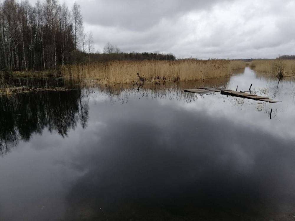 Домик в деревне Кабожа на берегу озера-13