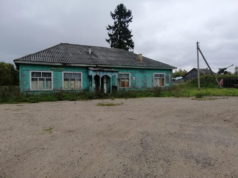 Домик в деревне Саутино для дачи и отдыха-2